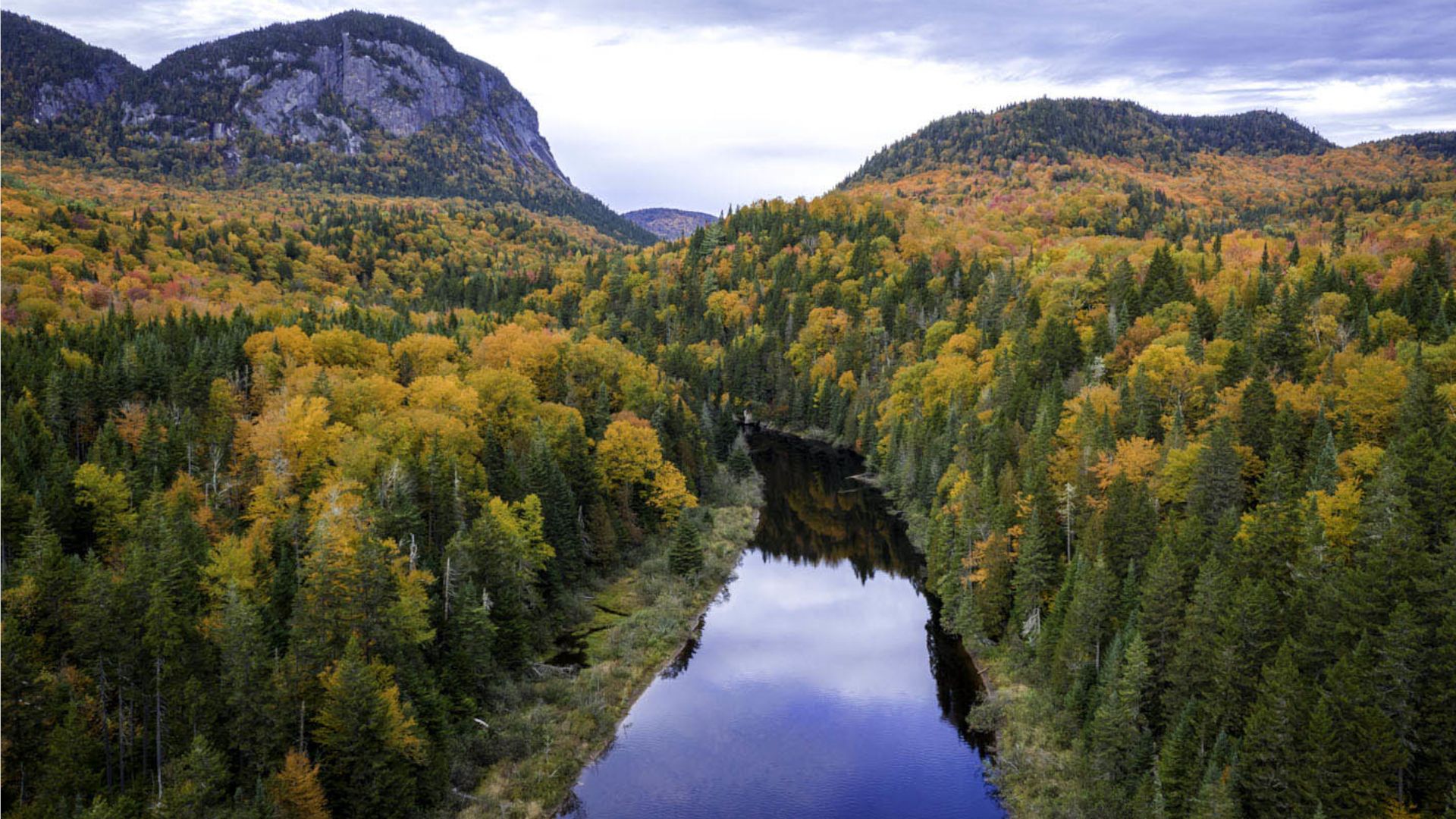 Aerial view of a river snaking through a dense forest on both banks with mountains in the distance