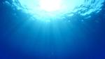 Plastics in the sea