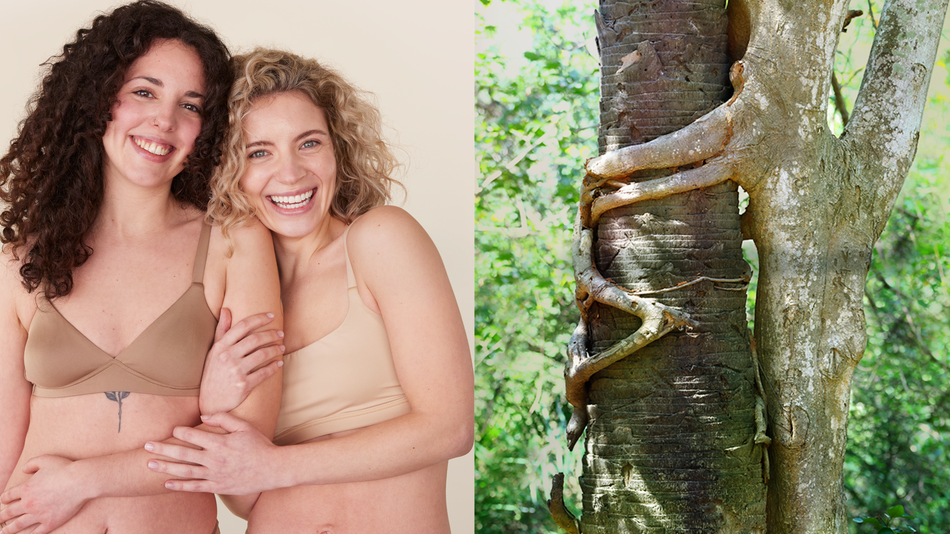 Two women embrace next to a pic of two intertwined trees. The position of the women’s arms echoes the shape of the branches