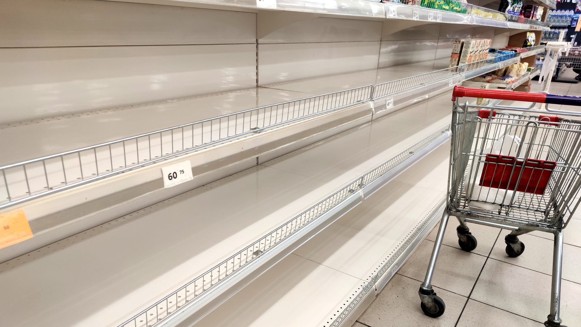 Empty supermarket shelves and shopping cart.