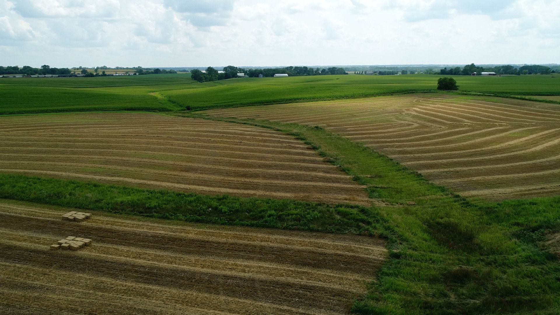 An agricultural field under a cloudy sky.