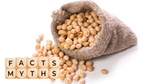 Sack of soybeans with wooden cubes spelling 'Facts Myths'.